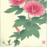 Kawarazaki Shodo - F61 Asagao (Morning glory) - Free Shipping