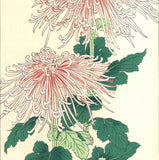 Osuga Yuichi - F180 Kiku (Chrysanthemum) - Free Shipping