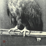 Kitamura  Shoichi - # KS3  Washi  (Eagle)  First Edition 2022 - Free Shipping