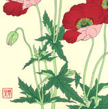 Kawarazaki Shodo - F123 Keshi (Poppy)  - Free Shipping