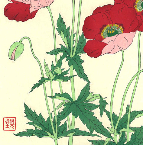 Kawarazaki Shodo - F123 Keshi (Poppy) - Free Shipping