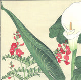 Tanigami Konan (1879~1928) -  Color lily - Free Shipping　　