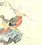 Imao Keinen - Koubai (Red Plum & Birds) - Free Shipping