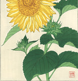 Kawarazaki Shodo - F87  Himawari (Sunflower) - Free Shipping