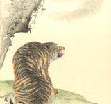Maruyama Okyo -  #5 Tiger  - Free Shipping