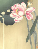 Ohara  Koson - Hasu ni suzume (Lotus and sparrow) - Free Shipping