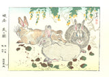 Kawanabe Kyosai - Rabbit - Free Shipping