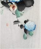 Ohara  Koson - Ajisai ni suzume  (Sparrow on Hydrangea) - Free Shipping