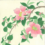 Kawarazaki Shodo - F53 Sazanka (Camellia) - Free Shipping