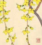 Kawarazaki Shodo - F95 Rengyo (Forsythia) - Free Shipping