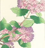 Osuga Yuichi - F178 Ajisai  (Hydrangea) - Free Shipping    Only 1 left!!