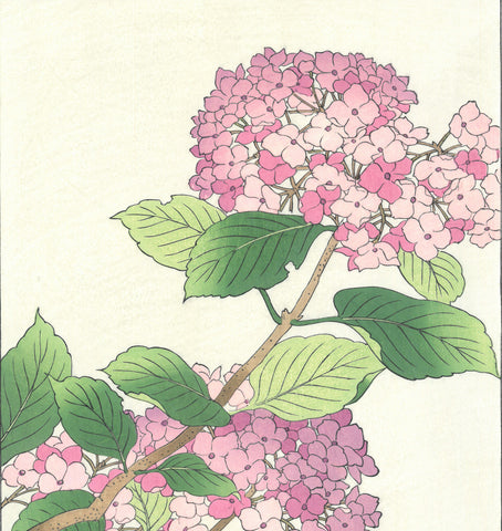 Osuga Yuichi - F178 Ajisai (Hydrangea) - Free Shipping