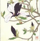 Kawarazaki Shodo - F077  Mokuren (Magnolia) - Free Shipping