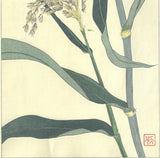 Kuzuhara Teru - F158  Ashi　あし (Reed) -  Free Shipping
