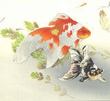 Tsuchiya Rakuzan - Kingyo ni Medaka (Goldfish with Medaka) - Free Shipping　