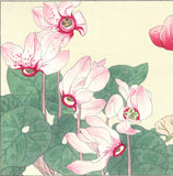Tanigami Konan (1879~1928) -  Cyclamen - Free Shipping　　