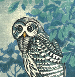 Takenaka Fu - Shiawase mitsumete (Staring at happiness) (Limited Edition 27)  - Free Shipping
