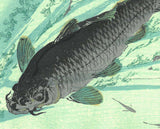 Kawanabe Kyosai - Kawazakana(Carp) - Free Shipping