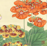 Tanigami Konan (1879~1928) -  Calceo Lario - Free Shipping　　