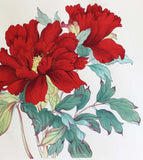 Tanigami Konan (1879~1928) -  Botan  牡丹 (Peony)「東鏡」 - Free Shipping　　