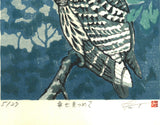 Takenaka Fu - Shiawase mitsumete (Staring at happiness) (Limited Edition 27)  - Free Shipping