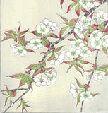Kawarazaki Shodo - F017 Sakura (Wild cherry) - Free Shipping