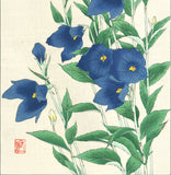 Osuga Yuichi - F179  Kikyo (Japanese bellflower) - Free Shipping