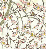 Kuzuhara Teru - F143 Sakura Sakura 　しだれ桜　 (Weeping cherry tree) -  Free Shipping