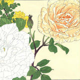 Tanigami Konan (1879~1928) -  Rose - Free Shipping　　