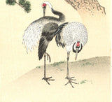 Maruyama Okyo - Tsuru Zu (Twin crane & Green Pine tree)  - Free Shipping