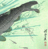 Kawanabe Kyosai - Kawazakana(Carp) - Free Shipping