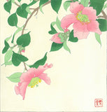 Kawarazaki Shodo - F53 Sazanka (Camellia) - Free Shipping