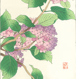 Osuga Yuichi - F178 Ajisai  (Hydrangea) - Free Shipping    Only 1 left!!