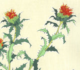 Kuzuhara Teru - F146 Benibana  紅花 (Safflower) -  Free Shipping