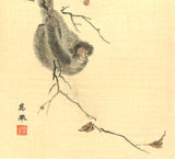 Maruyama Okyo -  Monkey in Snow - Free Shipping