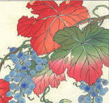 Osuga Yuichi - Yama Budo (Mountain grape) - Free Shipping