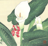 Tanigami Konan (1879~1928) -  Color lily - Free Shipping　　