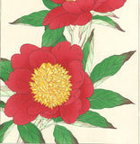 Kawarazaki Shodo - F12 Shakuyaku ( Peony) - Free Shipping