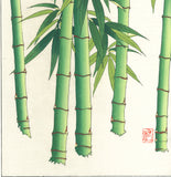 Osuga Yuichi - F182 Take  (Bamboo) - Free Shipping