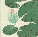 Kawarazaki Shodo - F57 Suiren (Water Lily) - Free Shipping