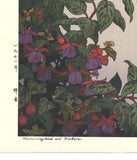 Yoshida Toshi - #017101 Hachi Dori (Humming Bird and Fuchsia) - Free Shipping