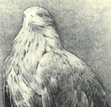 Kitamura  Shoichi - # KS3  Washi  (Eagle)  First Edition 2022 - Free Shipping