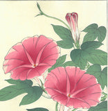 Kawarazaki Shodo - F61 Asagao (Morning glory) - Free Shipping