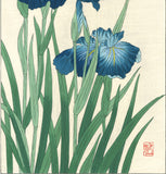 Osuga Yuichi - Shoubu (Japanese Iris) - Free Shipping