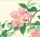 Kawarazaki Shodo - F53 Sazanka (Camellia) - Free Shipping