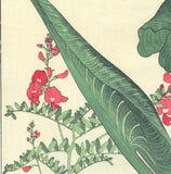 Tanigami Konan (1879~1928) -  Color lily - Free Shipping　　