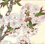 Kawarazaki Shodo - F018 Yae Zakura (Sakura) - (Double Cherry) - Free Shipping