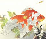 Tsuchiya Rakuzan - Kingyo ni Medaka (Goldfish with Medaka) - Free Shipping　
