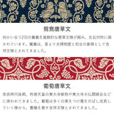 Shosoin Nishigin - Yagimon 120 正倉院裂【箱入】山羊文 グリーン - Furoshiki   120 x 120 cm