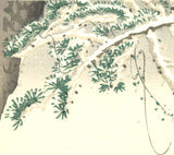 Maruyama Okyo -  Oshidori and Pine Tree in Snow - Free Shipping